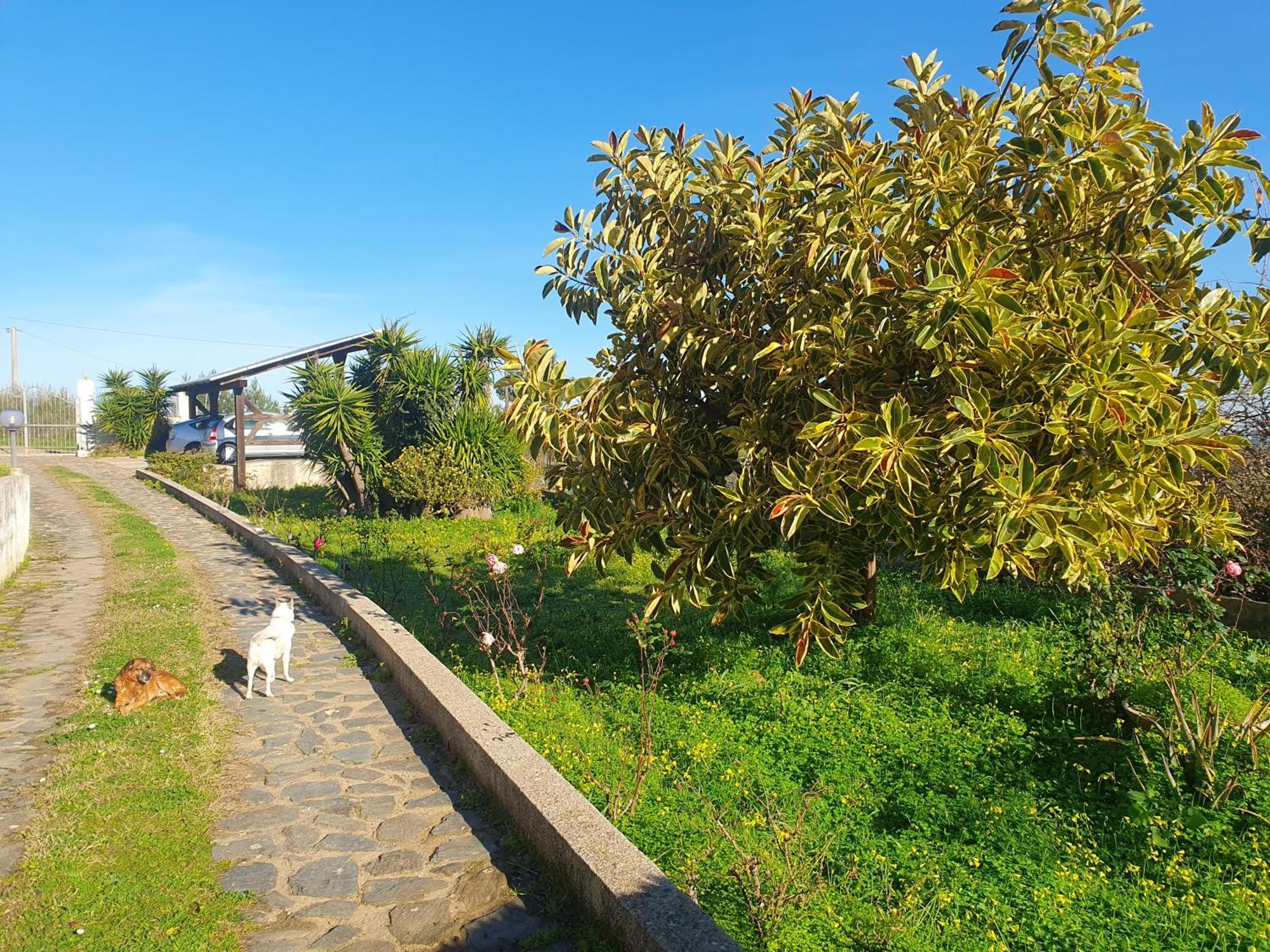 Asinara Villa Сасари Екстериор снимка